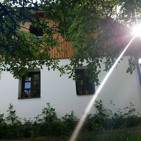 Forest Rustic Brdy Apartment Vesin