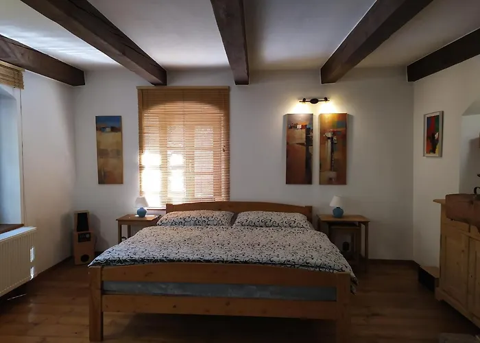 Forest Rustic Brdy Vesin