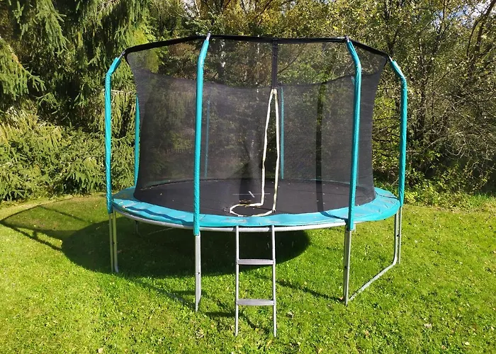 Forest Rustic Brdy Vesin