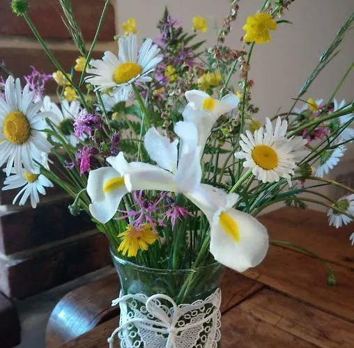 Forest Rustic Brdy * Vesin