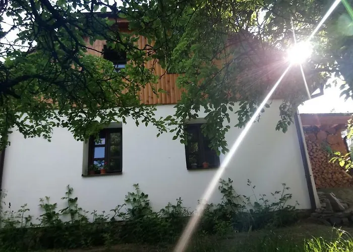 Forest Rustic Brdy Lejlighed Vesin